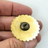 18th-C Shell & Paste