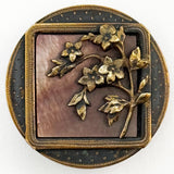 Pictorial Shell Background