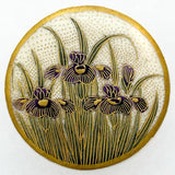 Old Satsuma Iris