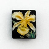 Arita Orchid