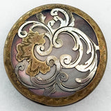 Rococo Shell Background I
