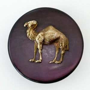 Shell Camel