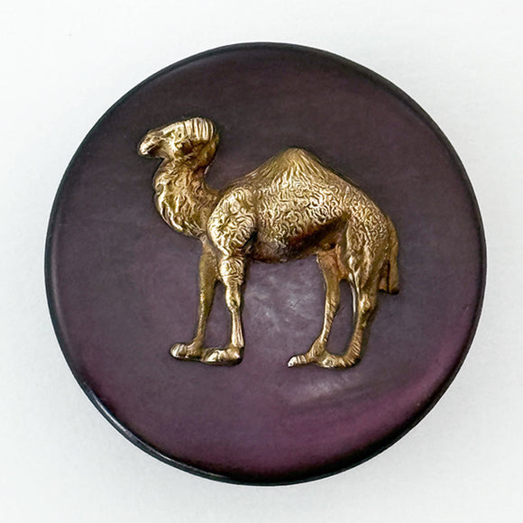 Shell Camel