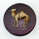 Shell Camel