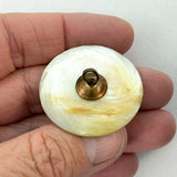 18th-C Shell with Glass