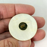 Transitional Shell