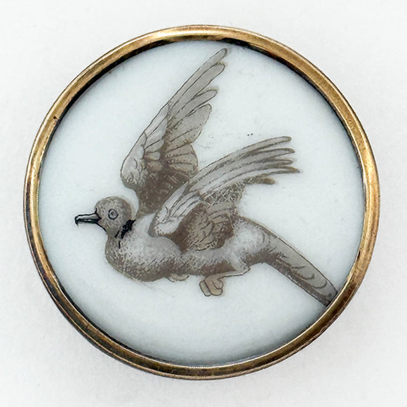Porcelain Dove