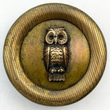 Ashlee Type Owl