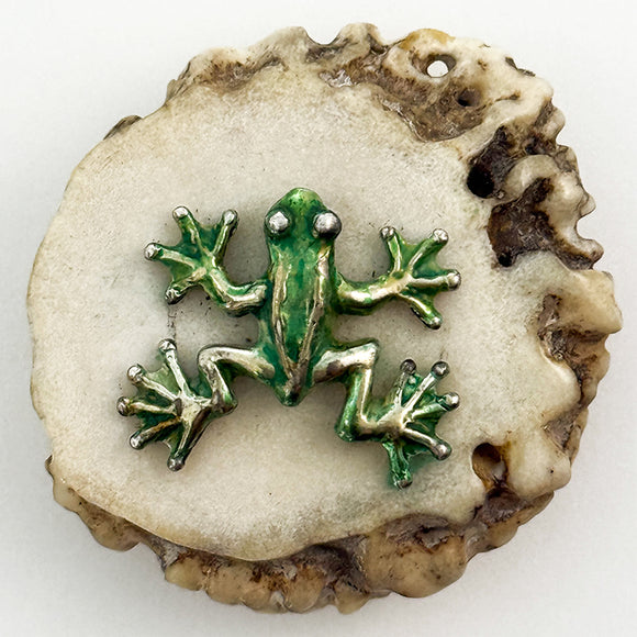 Tree Frog on Antler