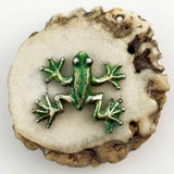 Tree Frog on Antler