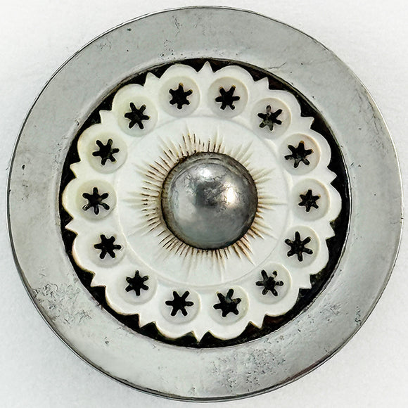 18th-C Shell in Steel