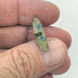 Pocketknife with Shell