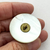Shell Medea