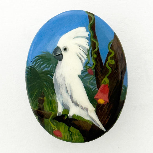 Cockatoo