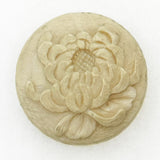 Chrysanthemum