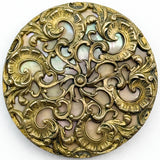 Abalone Background