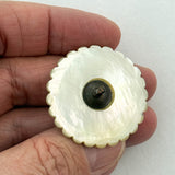 18th-C Shell & Black Glass