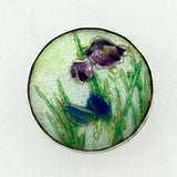 Gin Bari Iris