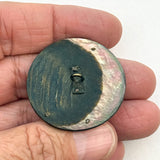 Shell Hide & Seck