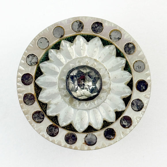 Georgian Shell