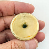 Gold-Lipped Oyster Cameo