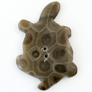 Petoskey Turtle