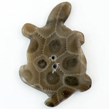 Petoskey Turtle