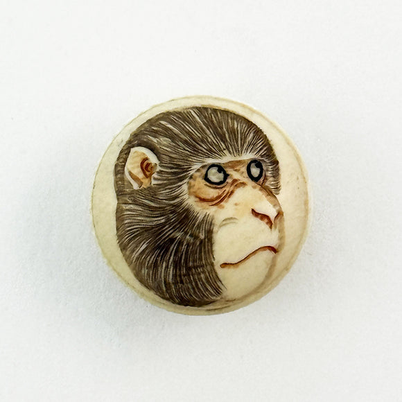 Macaque