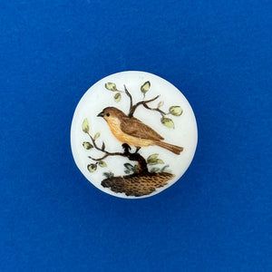 18th-C Yellow Wagtail