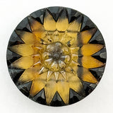 Lacy Starburst