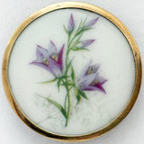 Porcelain Bellflowers
