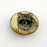 Wahaba Raccoon