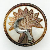 Shell Wheat