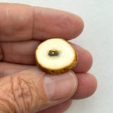 Wahaba Tortoise