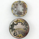 Rococo Revival Shell
