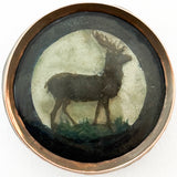 18th-C Waxwork Stag