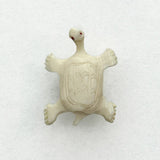 Studio Tortoise