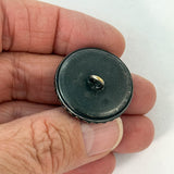 Abalone in Metal