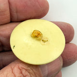 Asian Head Celluloid