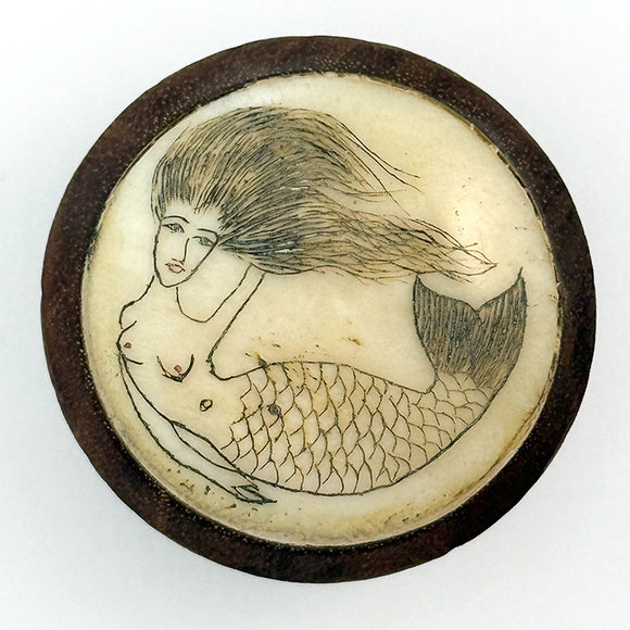 Scrimshaw Mermaid