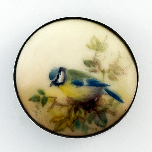 Lovely Songbird