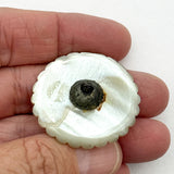18th-C Hobnail Shell