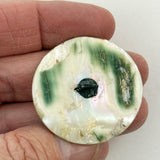 Div. I Abalone Transfer