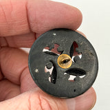 Pinwheel Pastes on Shell