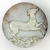 Whippet Cameo
