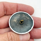 Iris Shell Background