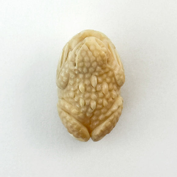 Fossil Toad