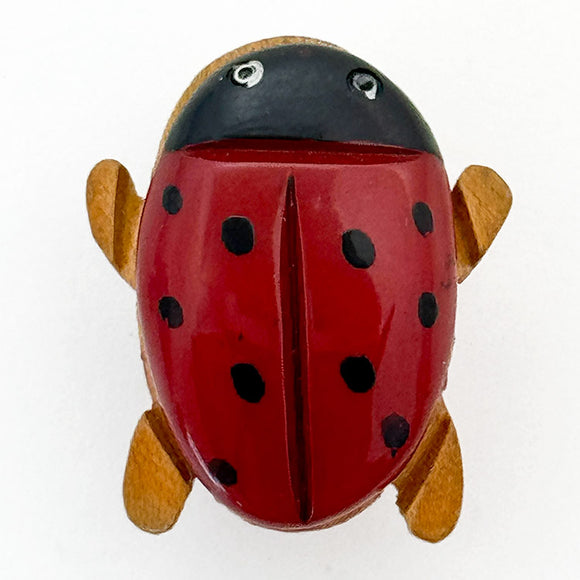 Laminated Ladybug