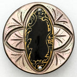 Shell & Enamel