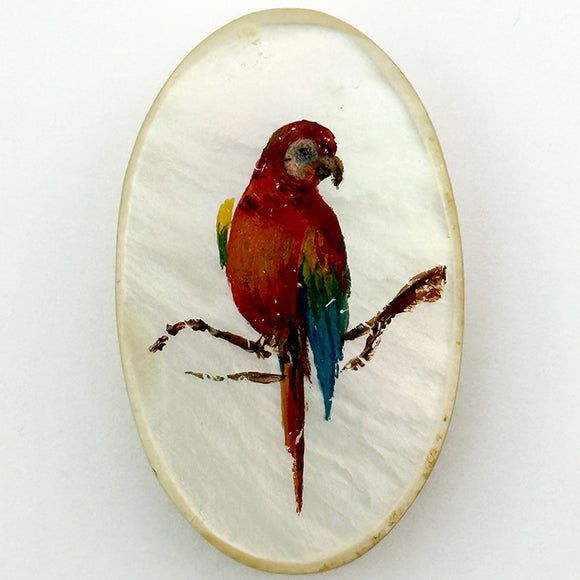 Parrot on Pearl